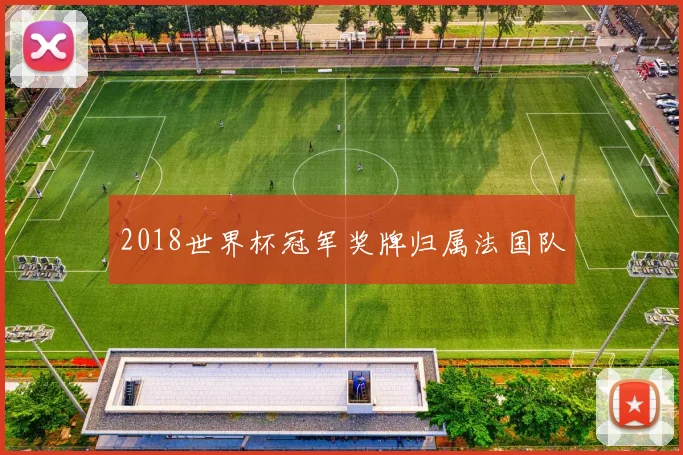 2018世界杯冠军奖牌归属法国队