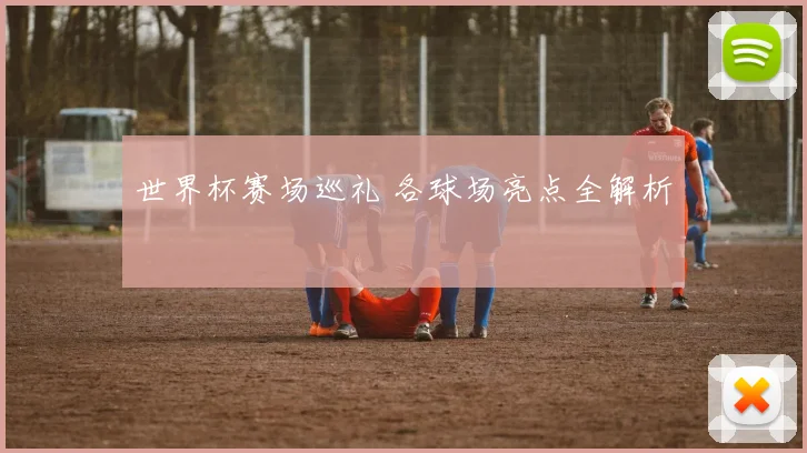 世界杯赛场巡礼 各球场亮点全解析