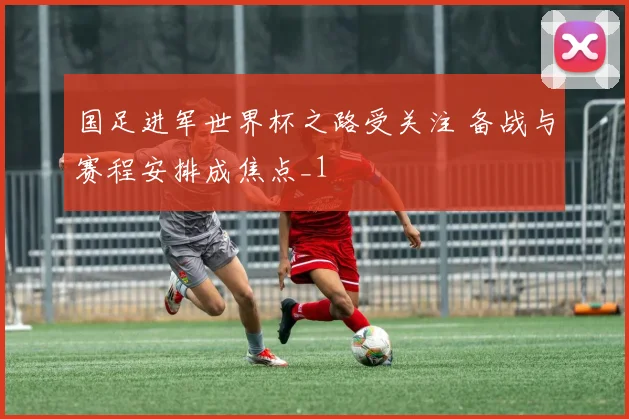 国足进军世界杯之路受关注 备战与赛程安排成焦点_1
