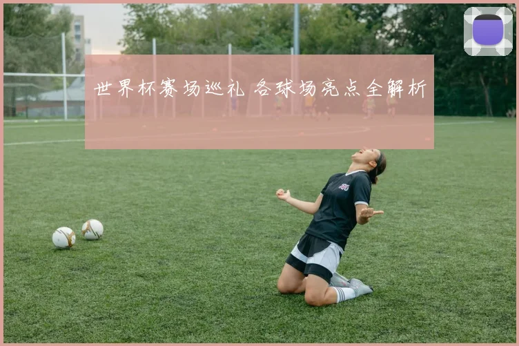 世界杯赛场巡礼 各球场亮点全解析