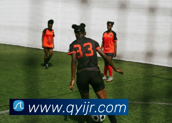 世界杯官网登录app平台生态图